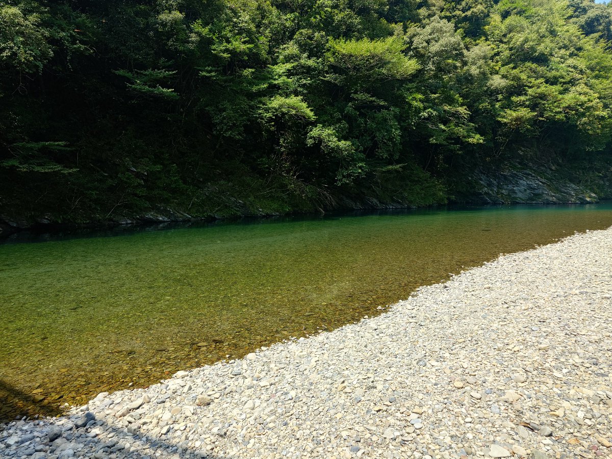 murasameyou's tweet photo. 今年もこの時期か！ https://t.co/q8BDrDVgfJ