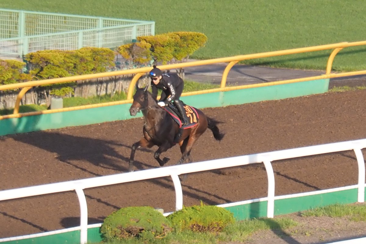blackfrog1221's tweet photo. 【きょうのヴァロアーク】

3074ヴァロアーク

朝一番、ウッドの口明けで速い時計を出していました！
躍動感あふれる動きです https://t.co/Ek0zigWLWT