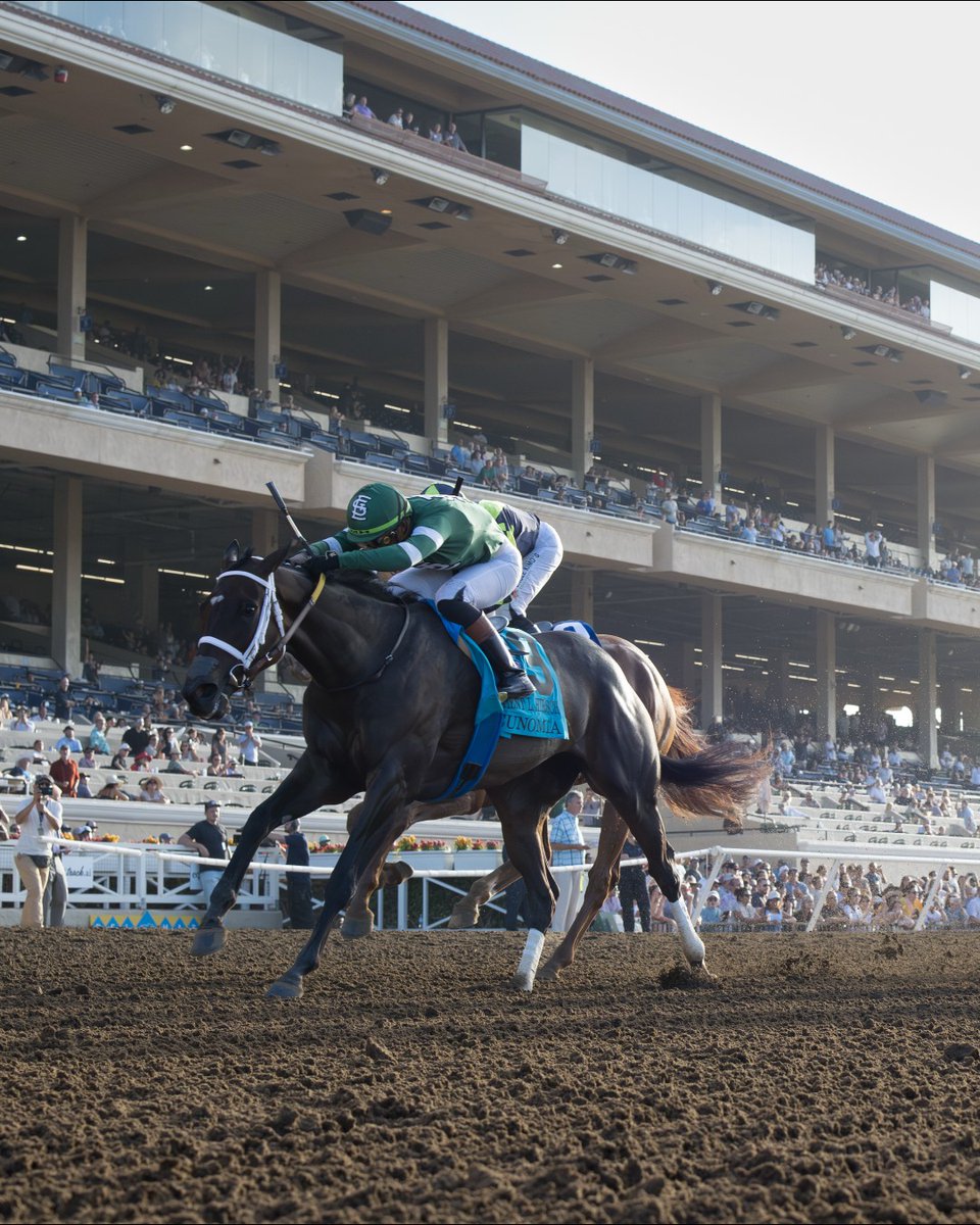 BreedersCup's tweet photo. Eunomia wins out West 🌅

Now time to head back east for #BC26! 

📸: @EclipseSports https://t.co/8DxdwZBtPP