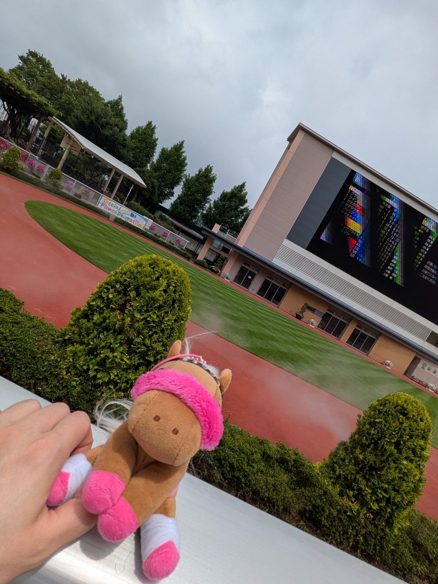 epiphasario's tweet photo. アゲアゲギャルと新潟競馬場に来場！案の定晴れてきたし暑い！！😂 https://t.co/t5G48K8Xm9
