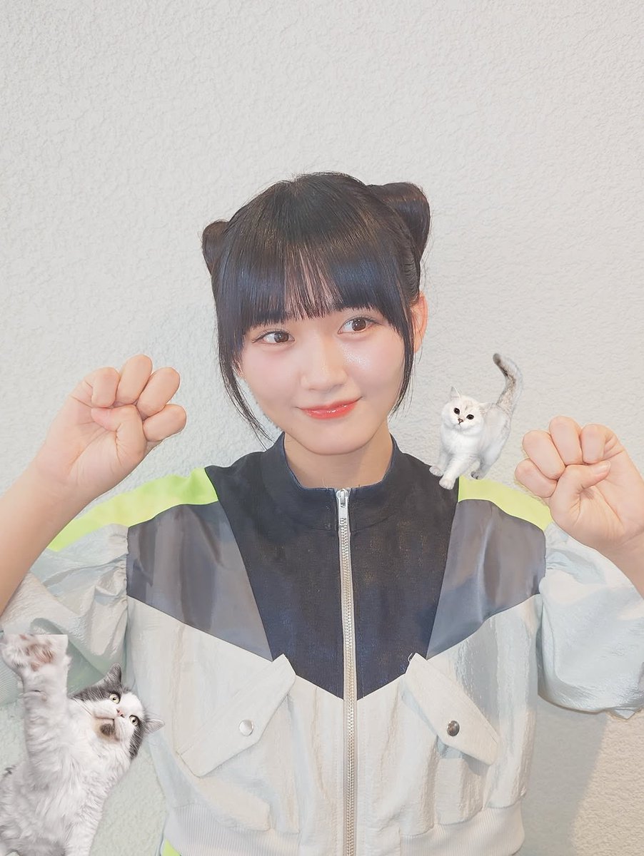 Arly_SH46's tweet photo. あと猫好きにとってはこの猫天ちゃんも見逃せない👀 https://t.co/rFG6MhQyow
