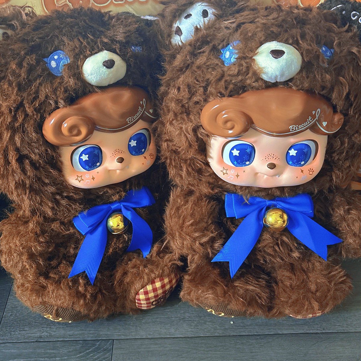 gashi_lib's tweet photo. デカイ！！
水色の子が欲しかったんだけど、まさかの茶色い子が2匹きた笑 
この子も可愛いと思ってたからまあヨシか・・・ 双子ちゃん🫰 https://t.co/TctgkhrRTY