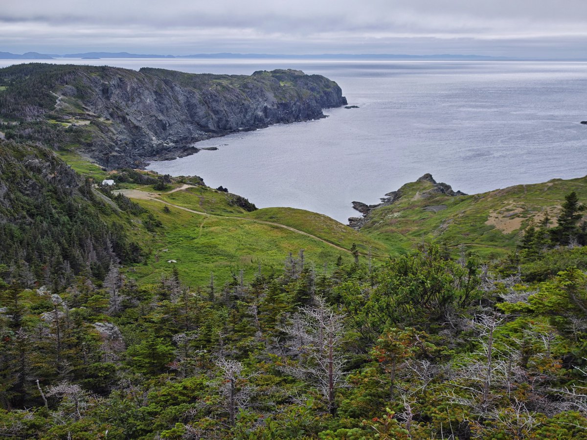dereklee0329's tweet photo. #Newfoundland Day 7 Gros Morne - Merritt's Harbour
​终于要离开Gros Morne这个漂亮的国家公园了，好山好水。
一路开向Twillingate，回头再去尝试一下观鲸。可惜今天天气依然不好，全天气垫船的观鲸都取消了，即使近海看起来好像天气还可以，但是外海风浪很大，出于安全原因，取消了。
小走海边trail https://t.co/PazpAE7imA
