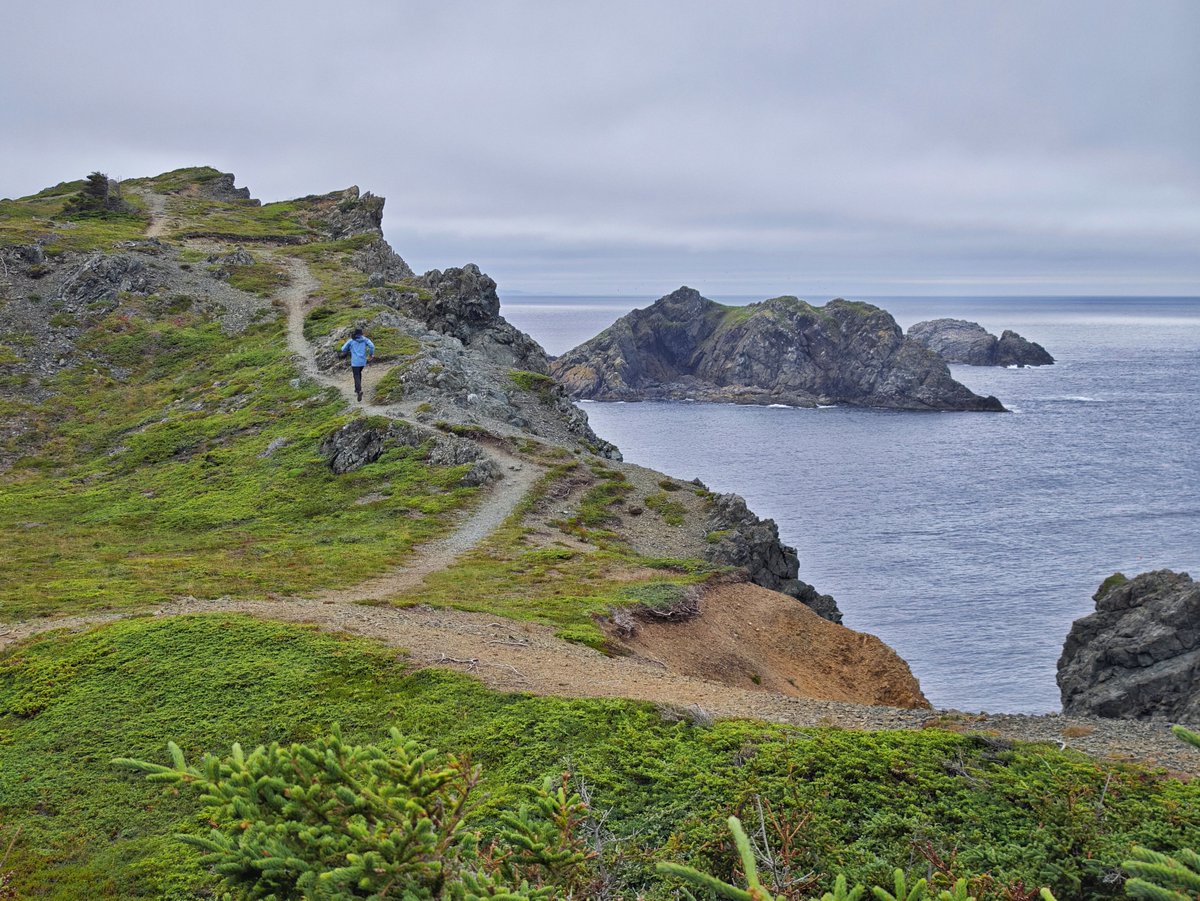 dereklee0329's tweet photo. #Newfoundland Day 7 Gros Morne - Merritt's Harbour
​终于要离开Gros Morne这个漂亮的国家公园了，好山好水。
一路开向Twillingate，回头再去尝试一下观鲸。可惜今天天气依然不好，全天气垫船的观鲸都取消了，即使近海看起来好像天气还可以，但是外海风浪很大，出于安全原因，取消了。
小走海边trail https://t.co/PazpAE7imA