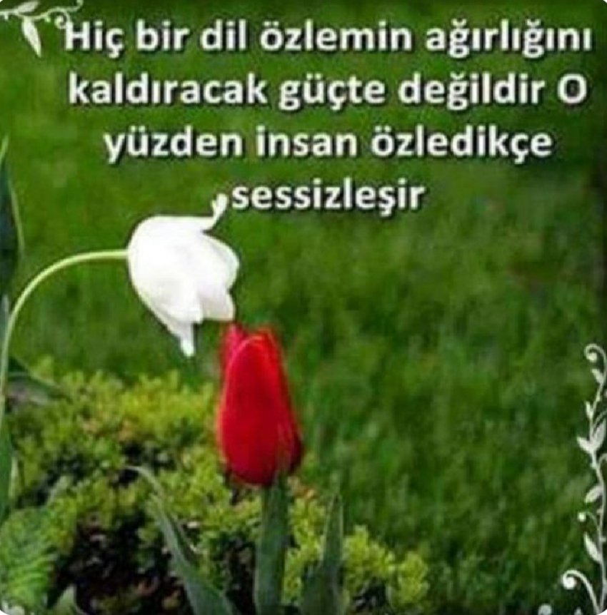 muta3453's tweet photo. Bismillahirrahmanirrahim 🩵 💚 
Günaydın hayırlı sabahlar güzel bir hafta sonu olması dileğiyle. https://t.co/170mvT2Xnz