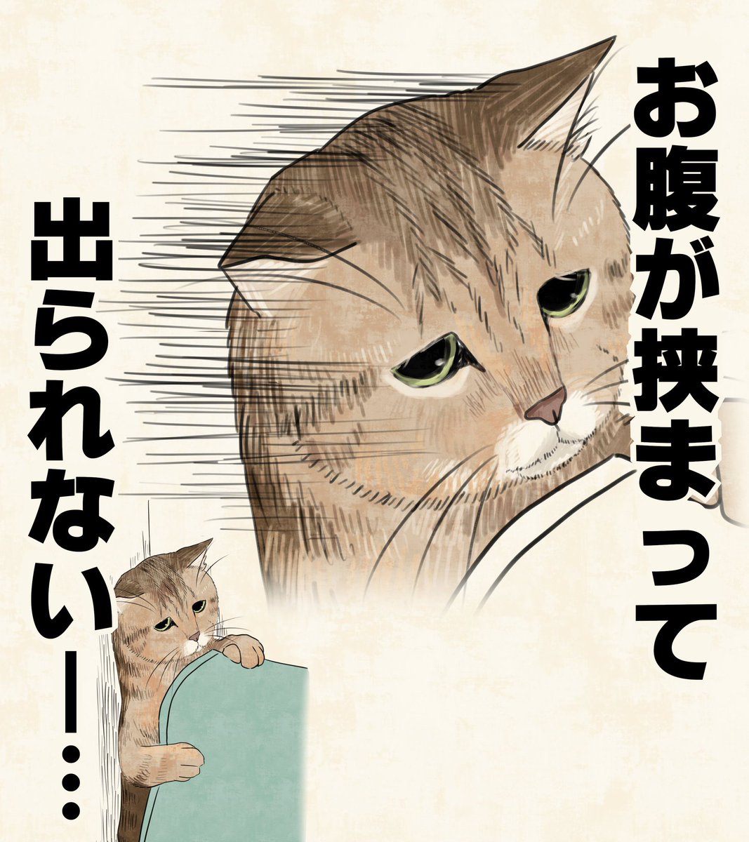 kuiruri's tweet photo. とてもかわいい… https://t.co/naKvIyPQNA
