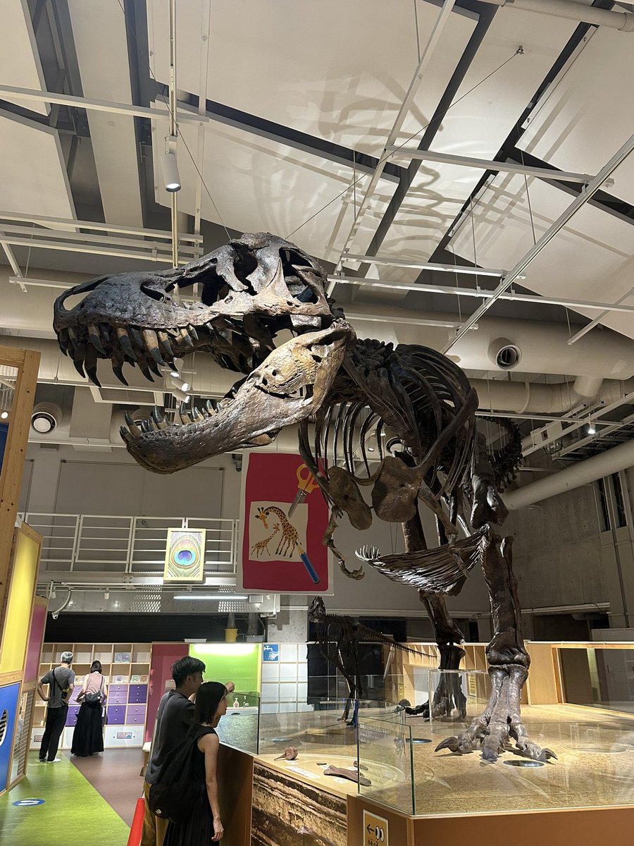 youok0629's tweet photo. 息子が映画デビュー。緊迫のシーンで「助けてー！」って言うからなだめてたら「お鼻のポップコーン取れない！」だそうで、妻が息子の鼻に詰まったポップコーンを取り出してた。男の子最高だなぁと思いました。あと科博にも行ってきた https://t.co/dVKlIbPuXQ