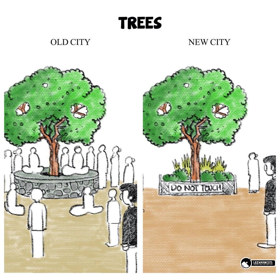 dnahinga's tweet photo. Once the meat has been chewed, of what use is the bone to a dog 🪾🦴

Is it still the green city under the sun?

At the very minimum, can we agree to stop the cutting down of mature trees in the City?

It started with “pruning”, now it is full blown destruction! https://t.co/IsMfbGeaGd