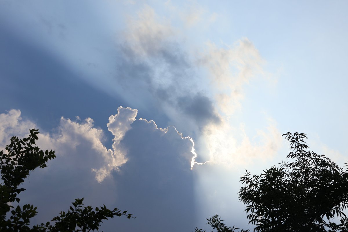 tanoppe7's tweet photo. 猛暑日の夕方。雲行きが怪しくなってきました。
今日も夕立が降る予報です。
#イマソラ https://t.co/OJoDYdTSEI