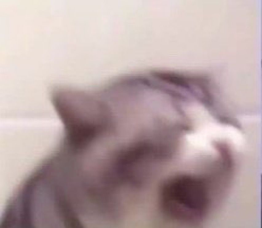R0tten__Pup's tweet photo. I wanna play outlast trails so badly I keep getting clips of it and I’m not a big horror game player (I prefer watching) but I want it so badly but I don’t have $40 to spend literally going to watch a 3 hr video of the lore because I can’t play it 😭 https://t.co/sVSOeC7pjO