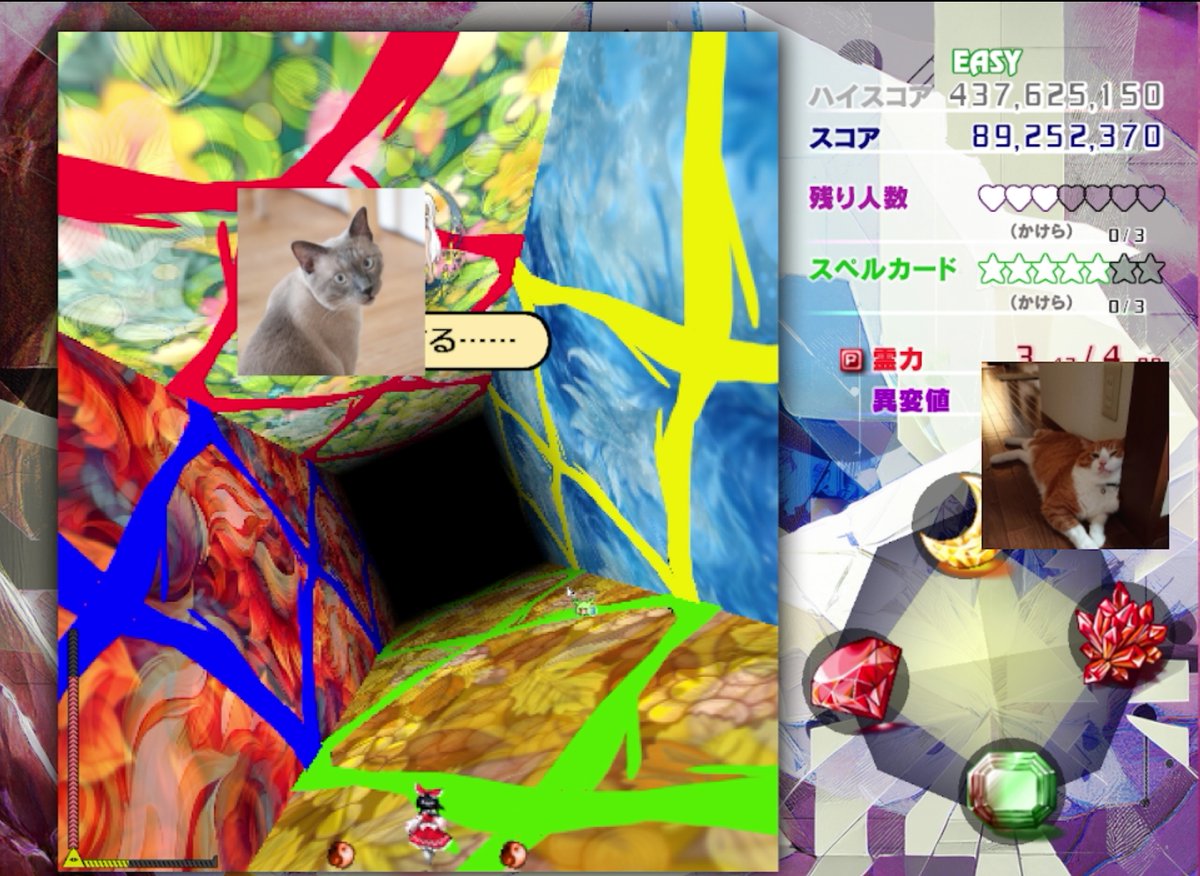 supermiskland's tweet photo. 今日のねこがーど
サグメ様より言ってることがわからない https://t.co/OCJFq2EReN