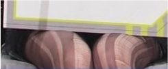 ippatippal's tweet photo. みーきゅんのほそももむにむにしたい
片手で掴めるやん https://t.co/2SKcNrSOUw