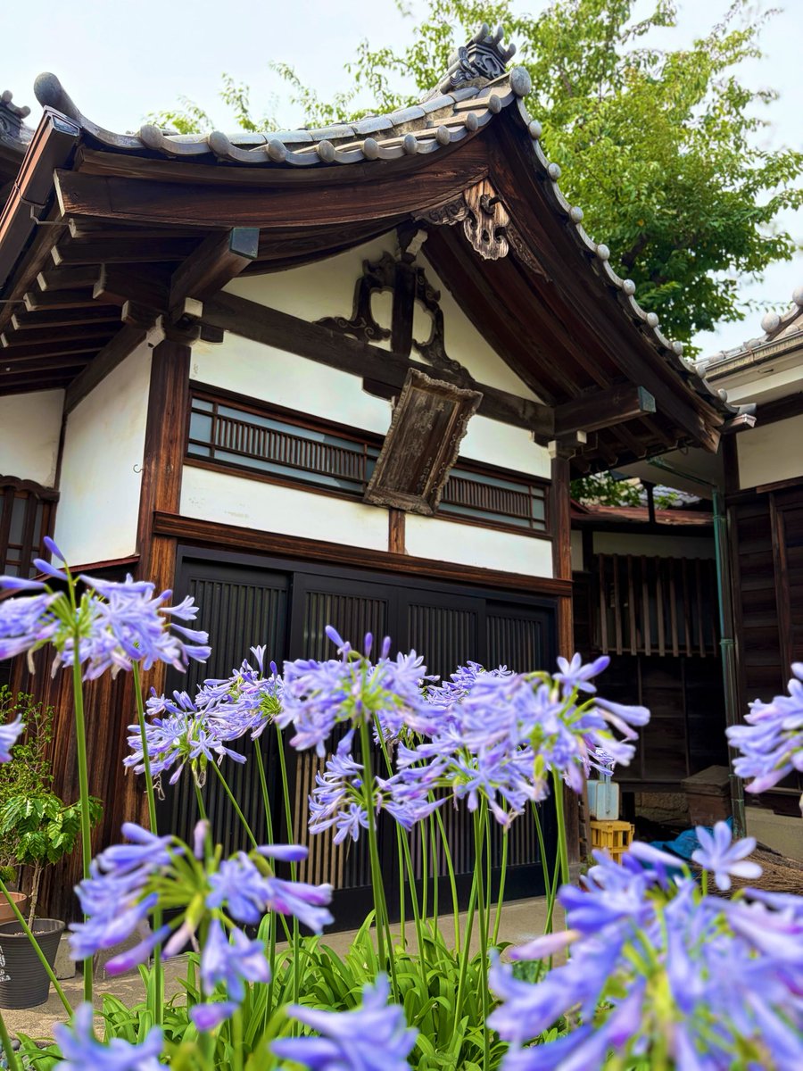 283GOSHUIN's tweet photo. #豊島区 #日蓮宗 #妙経寺 #御朱印
東京都豊島区にあります日蓮宗の妙経寺さんです🙏
大正元年、日経によって開山され、岡山県の最上稲荷の関東別院となりました。
当寺は日蓮宗の寺であるが、最上稲荷関東別院ということもあり、神仏習合の影響を色濃く残しています。
御朱印は、最上位経王大菩薩になります🙇‍♂️🙇‍♂️