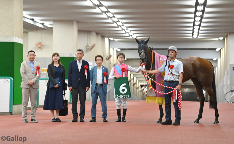 gallop_keiba's tweet photo. 新潟7R、#アイビスサマーダッシュ は1番人気 #ピューロマジック が優勝🏆
昨年と同じ6番枠からスタートすると快速を飛ばして3馬身差の圧勝！ レコードタイムで連覇を達成しました！ https://t.co/Tfz1HfW56m