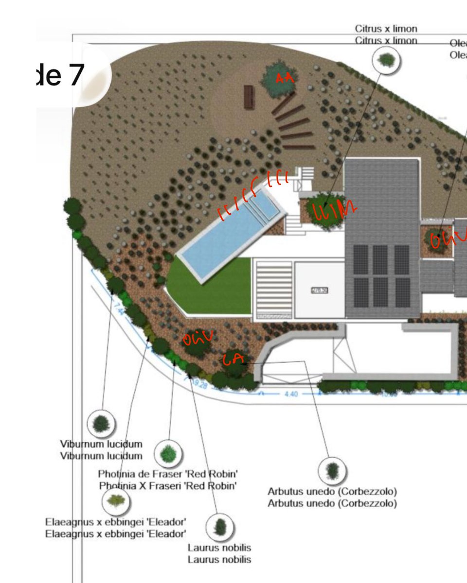 CJP_CAN_MONTES's tweet photo. Un jardí ben resolt comença abans de plantar. Els plànols i renders ens permeten estudiar recorreguts, ombres, vegetació, reg i drenatge, i evitar improvisacions durant l’obra. 

#CanMontes #DissenyDeJardins #Paisatgisme #Jardins3D #CostaBrava https://t.co/pLOtPw5uGU