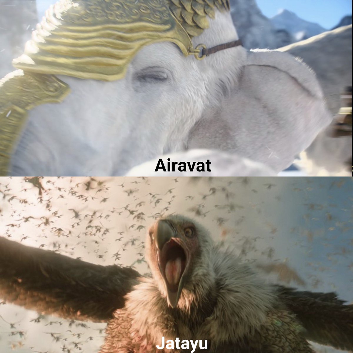 BryanBergX's tweet photo. Airavat's textured fur, weathered gold ornaments, leather harness, and expressive eyes.

Jatayu's layered feathers, weathered beak, and piercing gaze.

Every frame reflects incredible craftsmanship. Massive respect to the artists at DNEG for raising the bar for VFX in Indian cinema.

#Ramayana