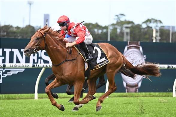 TutuDataAnalyst's tweet photo. TUTU DATA ANALYST 🏇📊
TODAY’S SELECTIONS
📍 Chester 15:52
🏇 #6 Khafiz
📍 Yarmouth 16:08
🏇 #1 Daretobedifferent
📍 Yarmouth 17:08
🏇 #2 Mart
⚡ Data-backed picks for today’s card. Best of luck! 🎯
#HorseRacing #RacingTips #TutuDataAnalyst #DailySelections #AtTheRaces https://t.co/fycinwVAQW