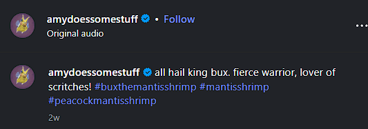 Den_O1_'s tweet photo. Found this insane narrative.

Mega viral video, of BUX getting a crown put on his head. KING BUX.

500K Likes and 2.6 Million Views in 10 Days.

Trenches need something different rather than cats and dogs so lets send this Mantis Shrimp BUX!!

https://t.co/JLy1KTocgX