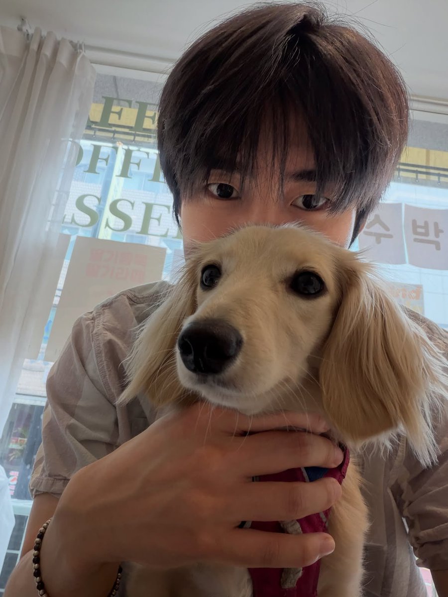 olive9889's tweet photo. 🐶 x 🐶 = 🩶 https://t.co/14LdnGOUi5