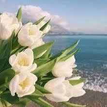 TURLESNAMBER1's tweet photo. نفحات إيمانية 🌿
ليس أعظم شرفٍ أن يعرفك الناس، بل أن يعرفك الله بطاعتك وخيرك.
فاسأل الله دائمًا: اللهم استعملنا ولا تستبدلنا، واجعلنا مفاتيح للخير، مغاليق للشر، وانفع بنا ...
فكم من إنسانٍ خفيٍّ في أعين الناس، عظيمِ الأثر عند الله. https://t.co/Cp7lCbkJRG