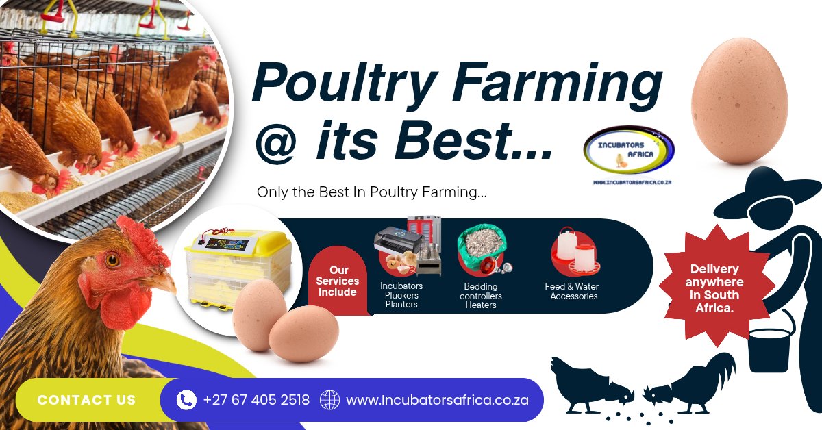 Jamesnk2023's tweet photo. 🐥 Ready to take your poultry farming to the next level?

Find premium poultry equipment at affordable prices:

✔ Egg Incubators
✔ Feeders &amp; Drinkers
✔ Pluckers
✔ Poultry Accessories

🚚 Delivery anywhere in South Africa.

🛒 Shop today: https://t.co/kJbzp7RW6o https://t.co/i270clKt2y