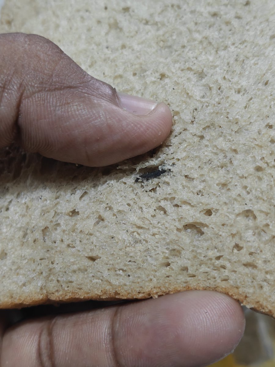 ShresthaBansi's tweet photo. Found a black foreign particle inside a packet of brown bread. This is a serious food safety concern. Requesting Shri Tukaram Mundhe Sir and @fssaiindia to investigate and take appropriate action. I have photo evidence.

#FoodSafety #FSSAI https://t.co/3c1dD4tQbQ