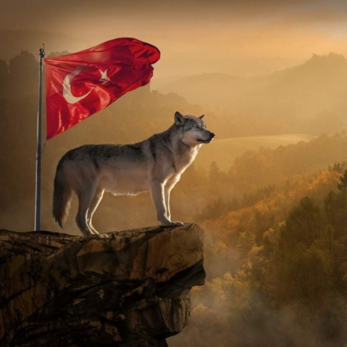 enisvisser's tweet photo. Ada and Emil r still turkish af and they confirmed it further by making Hunter Emil be turkeys national animal https://t.co/MeEMHbIpsD