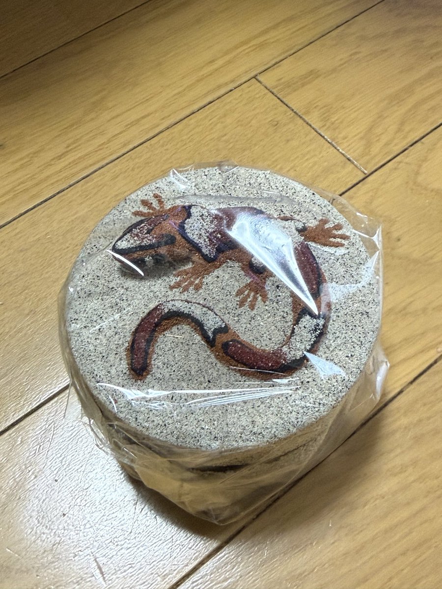 pandadanpa46's tweet photo. 雑貨屋さんで、一目惚れ
気づいたら、購入しちゃいました
さて、何入れよう https://t.co/gway8wcWCe