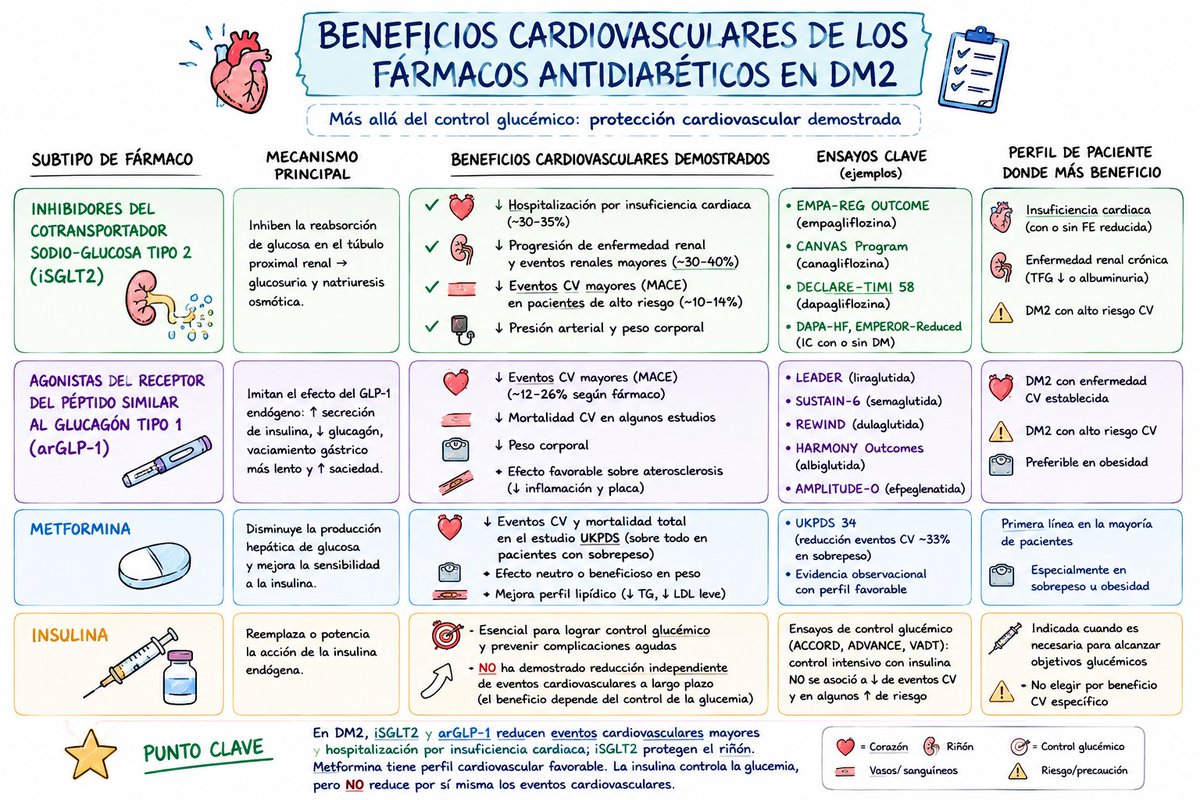 gabi_puchepalao's tweet photo. 🚨 No todos los antidiabéticos ofrecen mismo beneficio cardiovascular

❤️ Han demostrado reducir eventos cardiovasculares:
✅ iSGLT2
✅ arGLP-1
✅ Metformina (UKPDS) https://t.co/z4UCf68DjY
