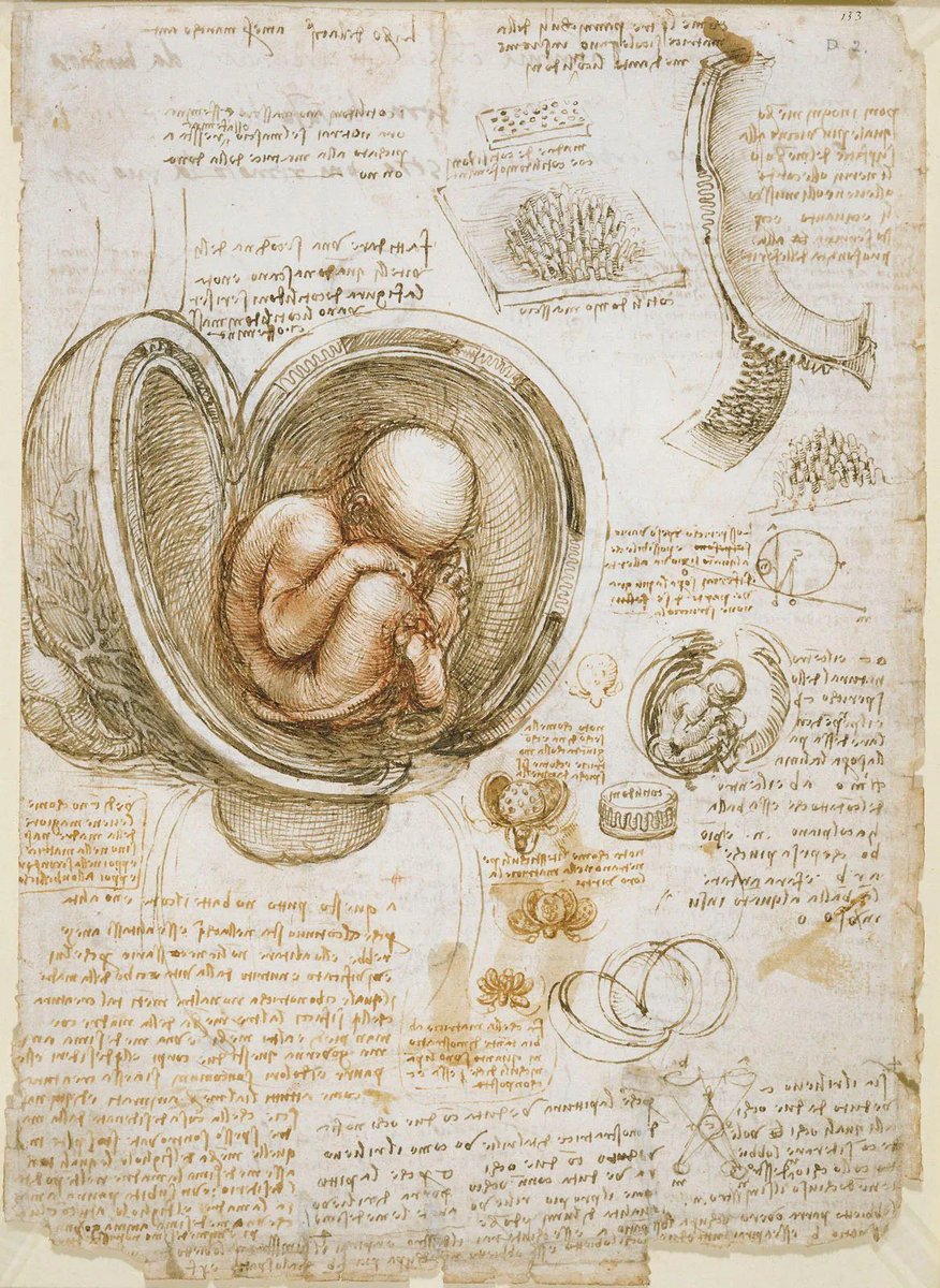 X_ArtGallery's tweet photo. Leonardo da Vinci https://t.co/zMAROvjc4x