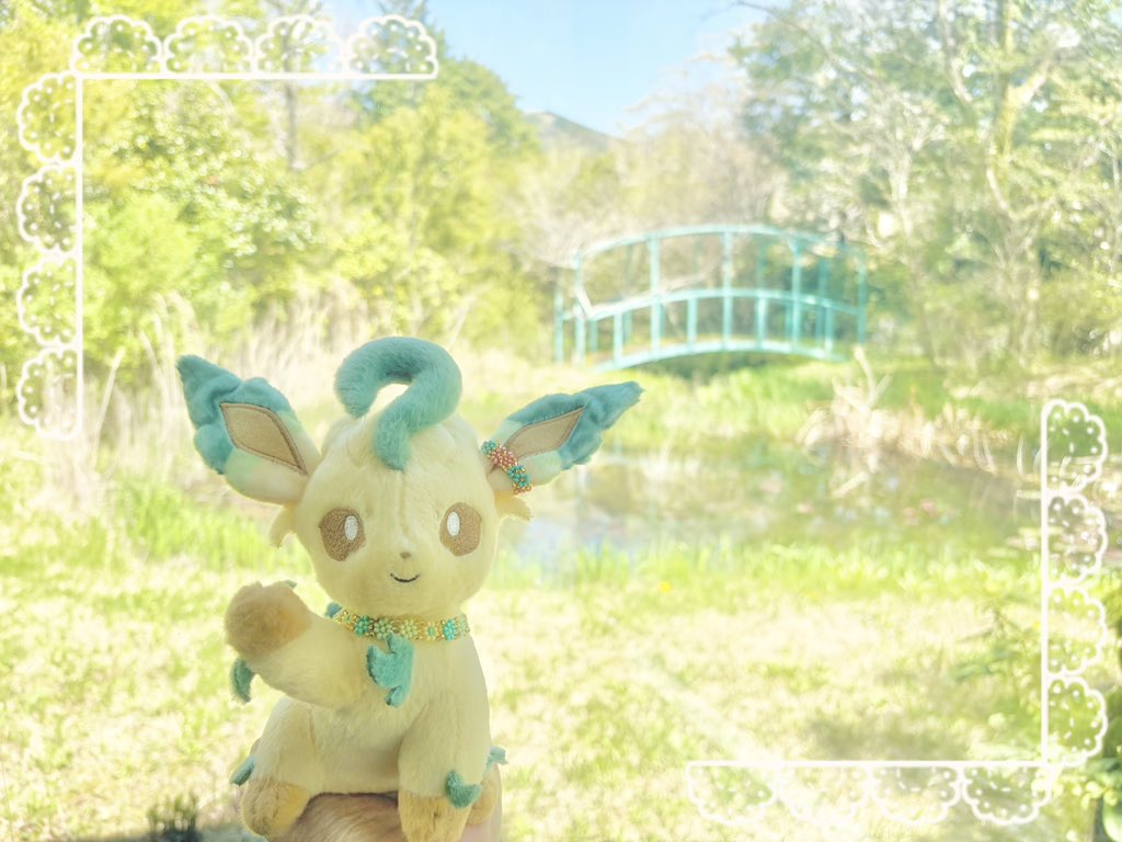 Mariarokon's tweet photo. みどりのせかい🌿💚💚

#ポケぬい #ぬい撮り #ぬい活 https://t.co/66DCx2g0VC