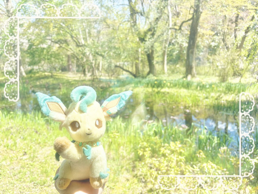 Mariarokon's tweet photo. みどりのせかい🌿💚💚

#ポケぬい #ぬい撮り #ぬい活 https://t.co/66DCx2g0VC
