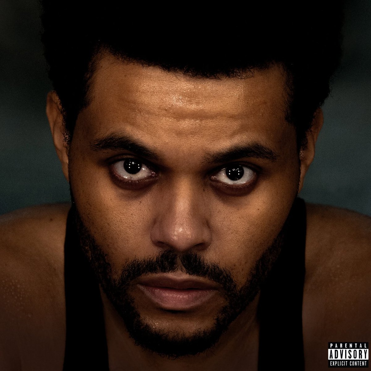 imTicketsID's tweet photo. The Weeknd Tickets

The Weeknd

Tue, Aug 4 • 5:00 PM
@ PGE Narodowy - National Stadium, Warsaw, Poland

Buy  Tickets : https://t.co/s0Ayn747WM

#TheWeeknd #TheWeekndTickets https://t.co/xMEpdpQDKA