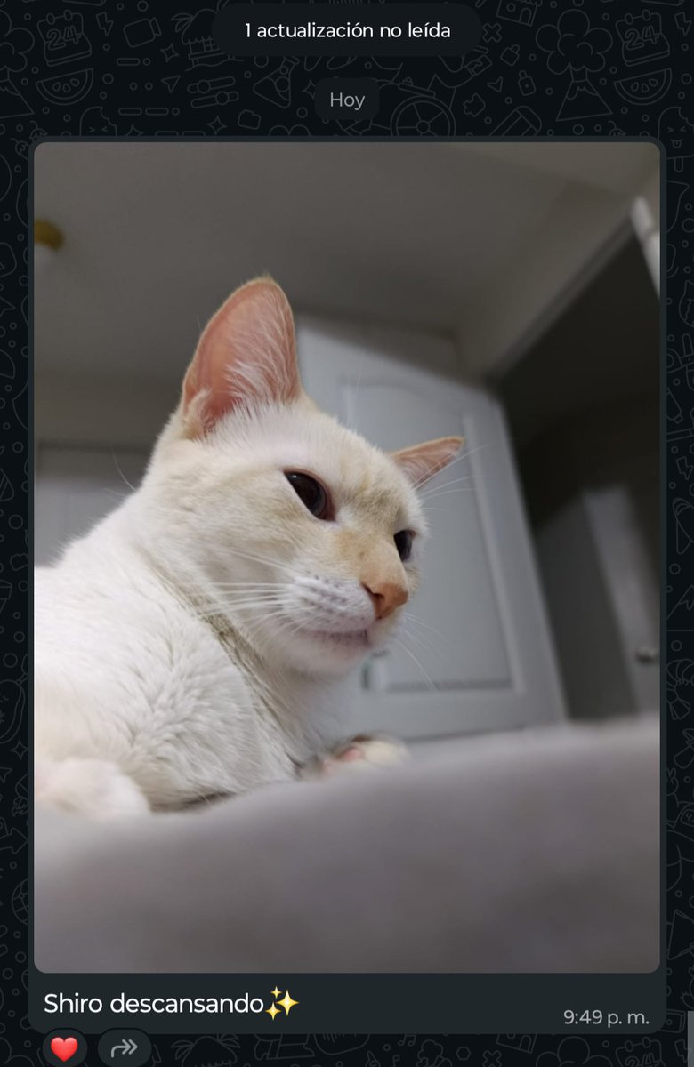 💫Lin Updates 💫 tweet media