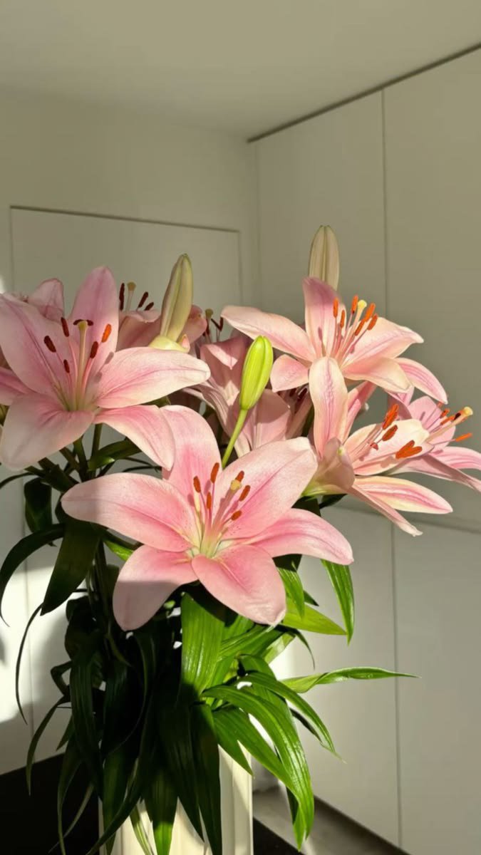 Visualvault2 tweet picture