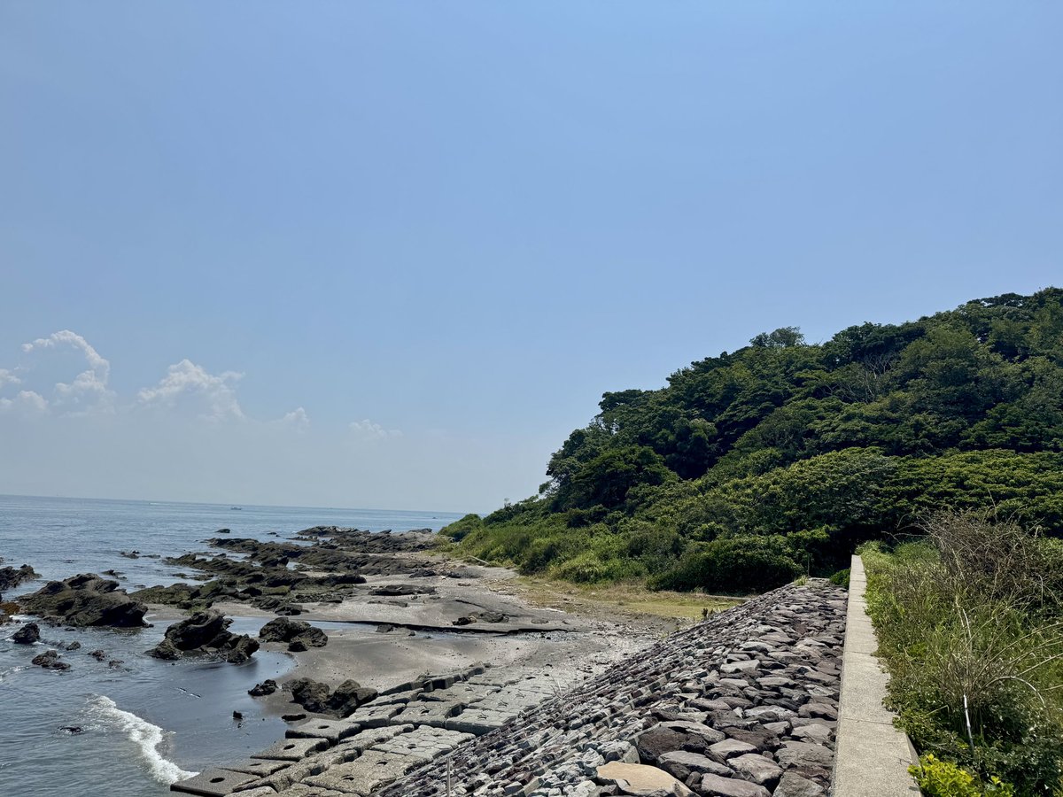 doggy_ego's tweet photo. 緑の森を抜けると、
楽園🥰 https://t.co/RXINiiOlhe