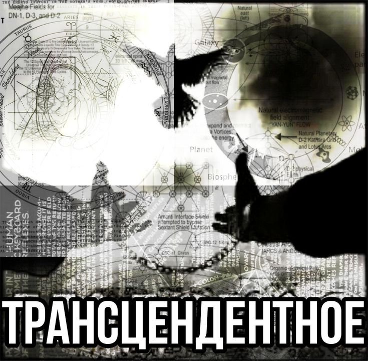 CopaceticCrypt's tweet photo. Обнови Пинтерест три раза и покажи первые попавшиеся картинки, как Твоё:  
1. Моральное состояние    
2. Поведение в обществе    
3. Истинное желание

Норм https://t.co/z67D3vUHTf
