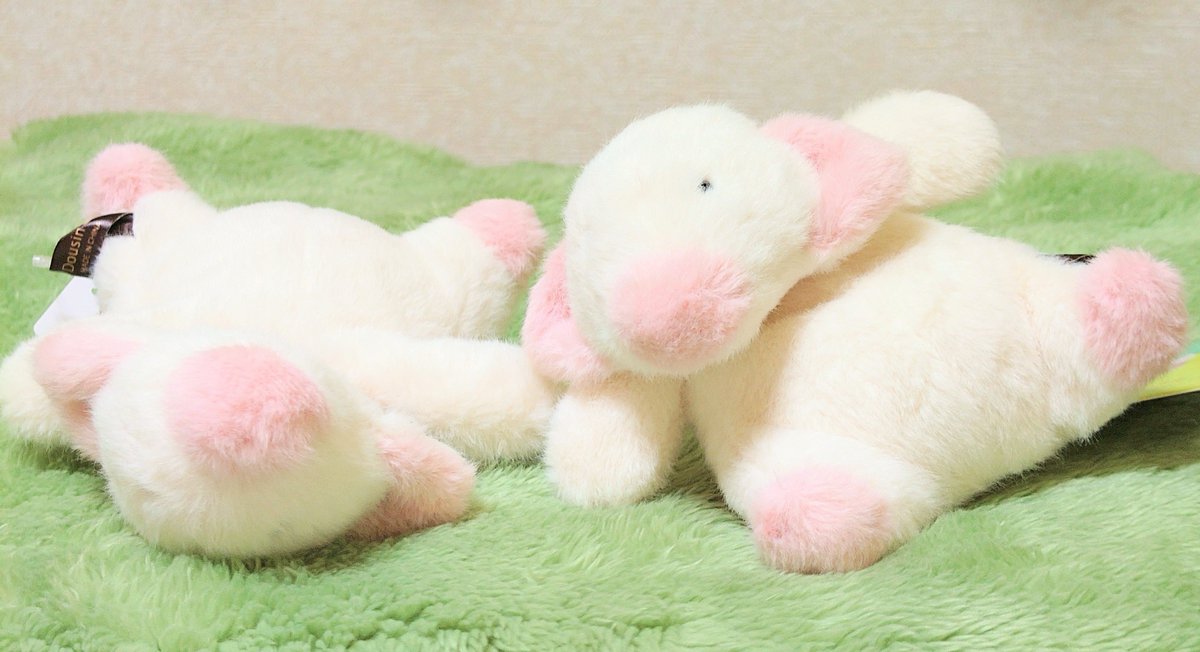 ぬいぐるみの童心【公式】🥺 (@Dousin_kawaii) / Posts / X