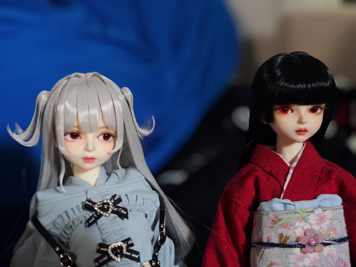 yuki_shirodoll's tweet photo. 本日のDeliaさん達 https://t.co/PqVeRC6REM