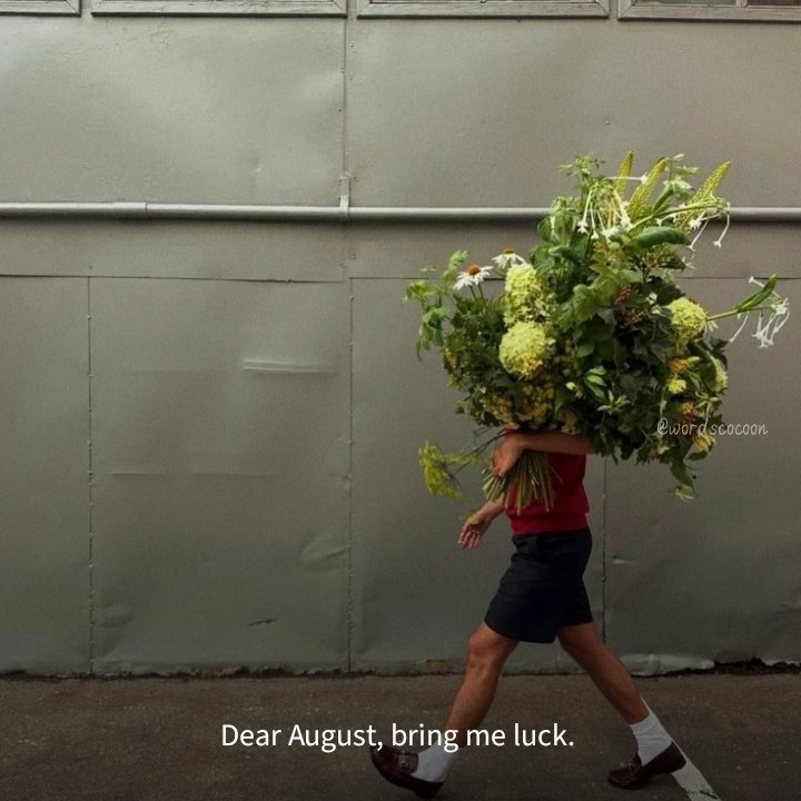 iamme0770's tweet photo. Hello August👋 https://t.co/Nj6ZDYQFTr