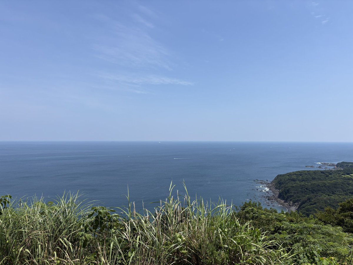 taropico1's tweet photo. 夏しちゃってるね！ https://t.co/alAVwi0ZOu