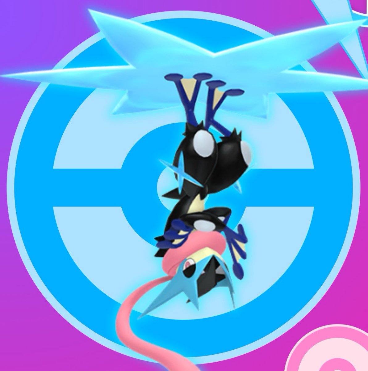 Trainerxlloyd tweet picture
