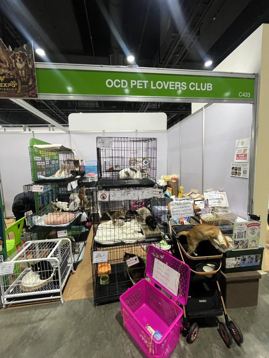 DPPWJD1991's tweet photo. วันนี้ใครไปงาน Pet Expo ถ้าเดินผ่านบูทนี้แวะเล่นกับน้องได้นะคะ หรือจะร่วมบริจาคให้น้องแมวที่รอการหาบ้านได้ค่ะ มีของแจกเล็กๆน้อยๆ จะเอาอาหารไปบริจาคได้เช่นเดียวกันค่ะ
#ppnaravit #phuwintang 
#PeachAndMeSeriesFinalEP https://t.co/ZA5dlUifKX