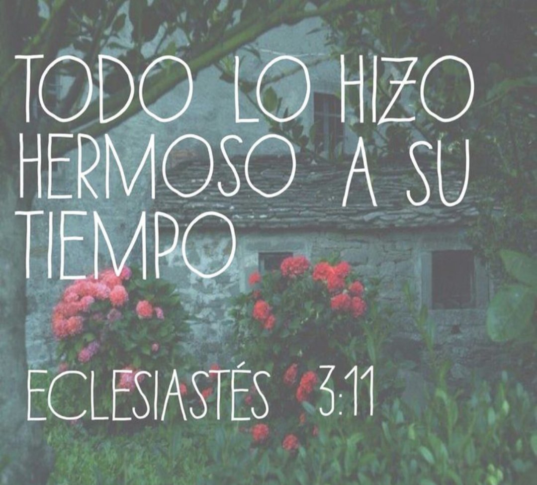 Saidasalas1's tweet photo. Levantad en alto vuestros ojos, y mirad quién creó estas cosas; él saca y cuenta su ejército; a todas llama por sus nombres; ninguna faltará; tal es la grandeza de su fuerza, y el poder de su dominio.
¿No has sabido, no has oído que el Dios eterno es Jehová, el cual creó los confines de la tierra? No desfallece, ni se fatiga con cansancio, y su entendimiento no hay quien lo alcance. Isaías 40:26,28