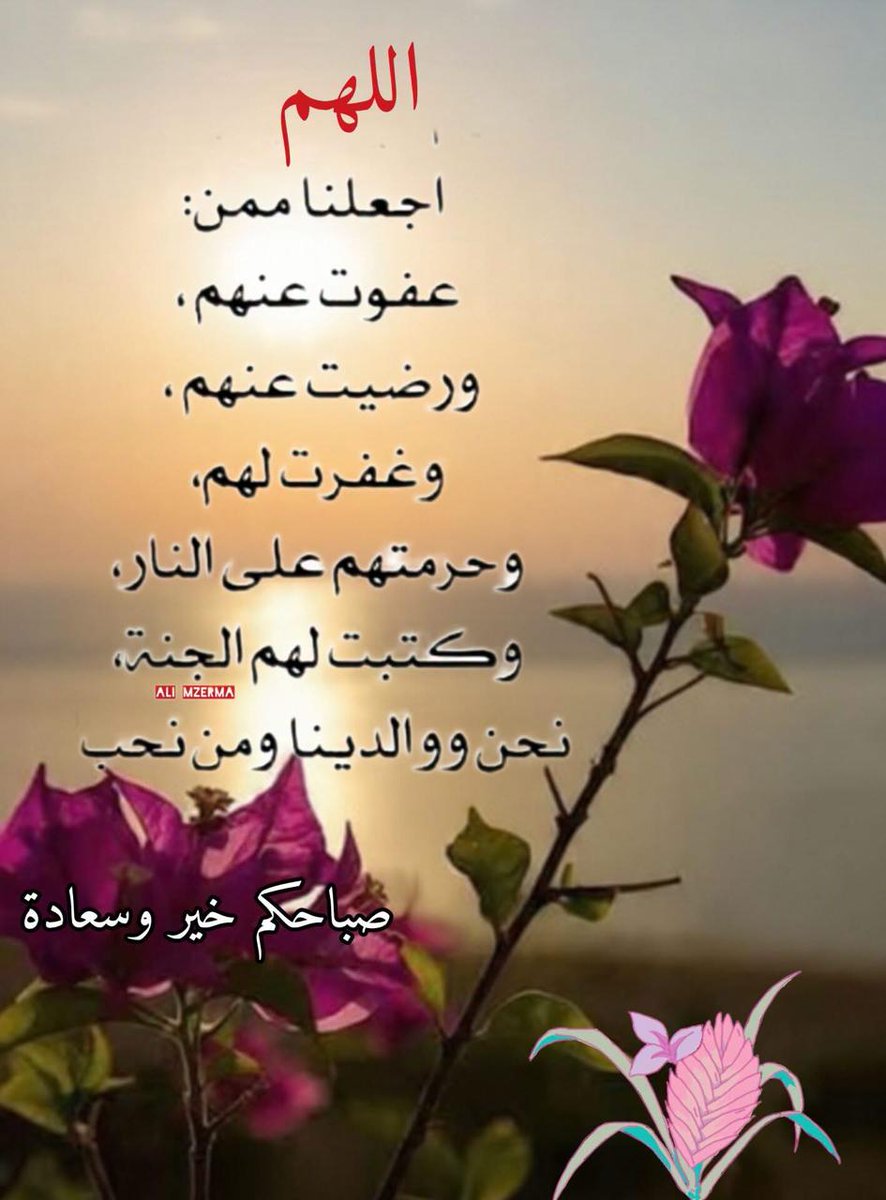 عيون المها 🇮🇶 tweet media