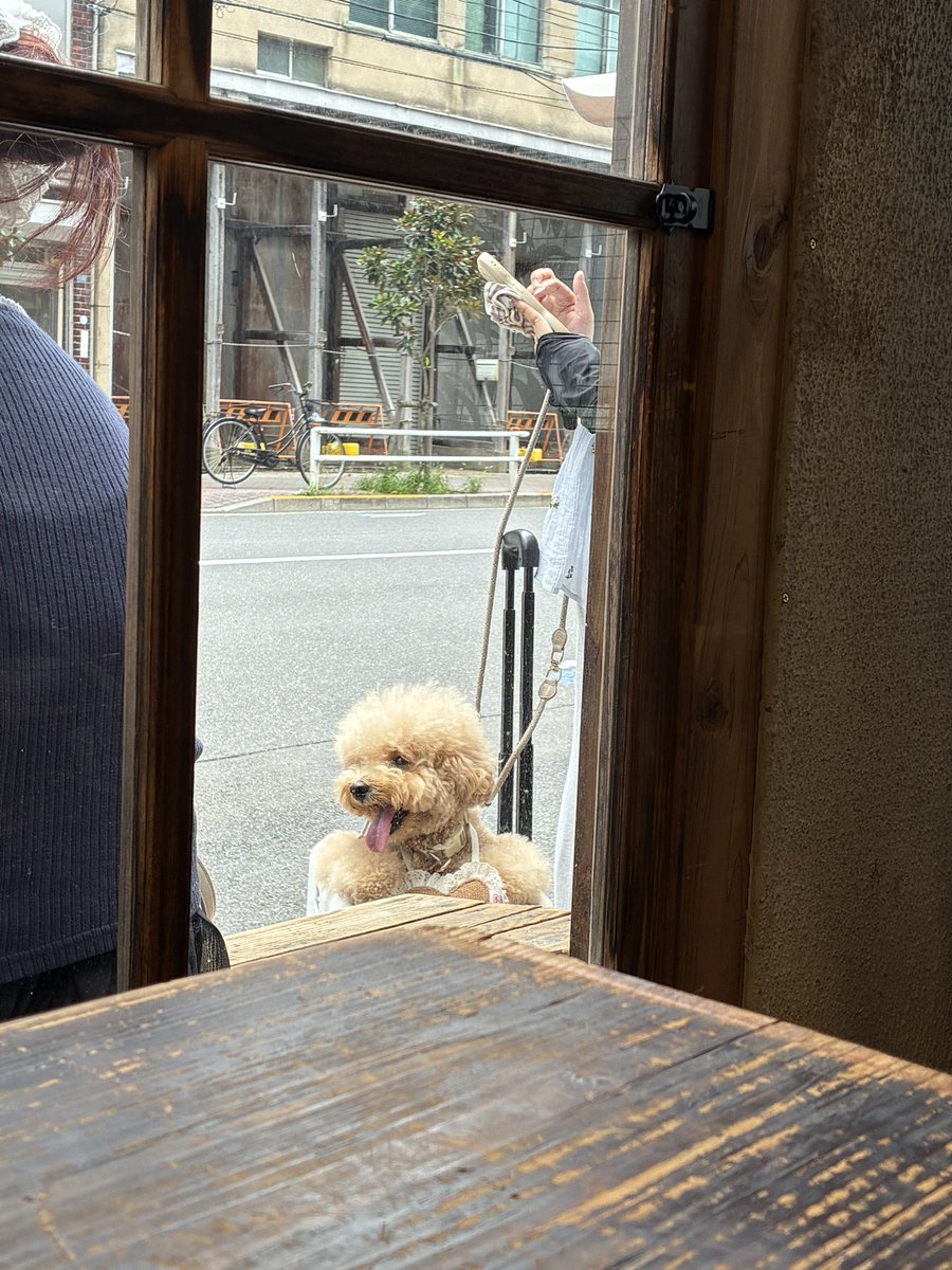 peepinsideblue's tweet photo. ( ᵕᴗᵕ )( ᵕᴗᵕ ) https://t.co/VDoMr570AX