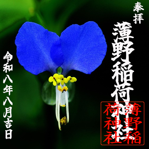 contag2's tweet photo. ススキノ神社の8月の御朱印です。ツユクサは万葉集にも「月草（つきくさ）」という名前で登場し、これらの歌には染め物、また、移ろいやすいものの象徴として詠み込まれています。花言葉は「密かな恋」「尊敬」「なつかしい関係」。もらいに来てねー🥰 https://t.co/S5mB2qWtKy
