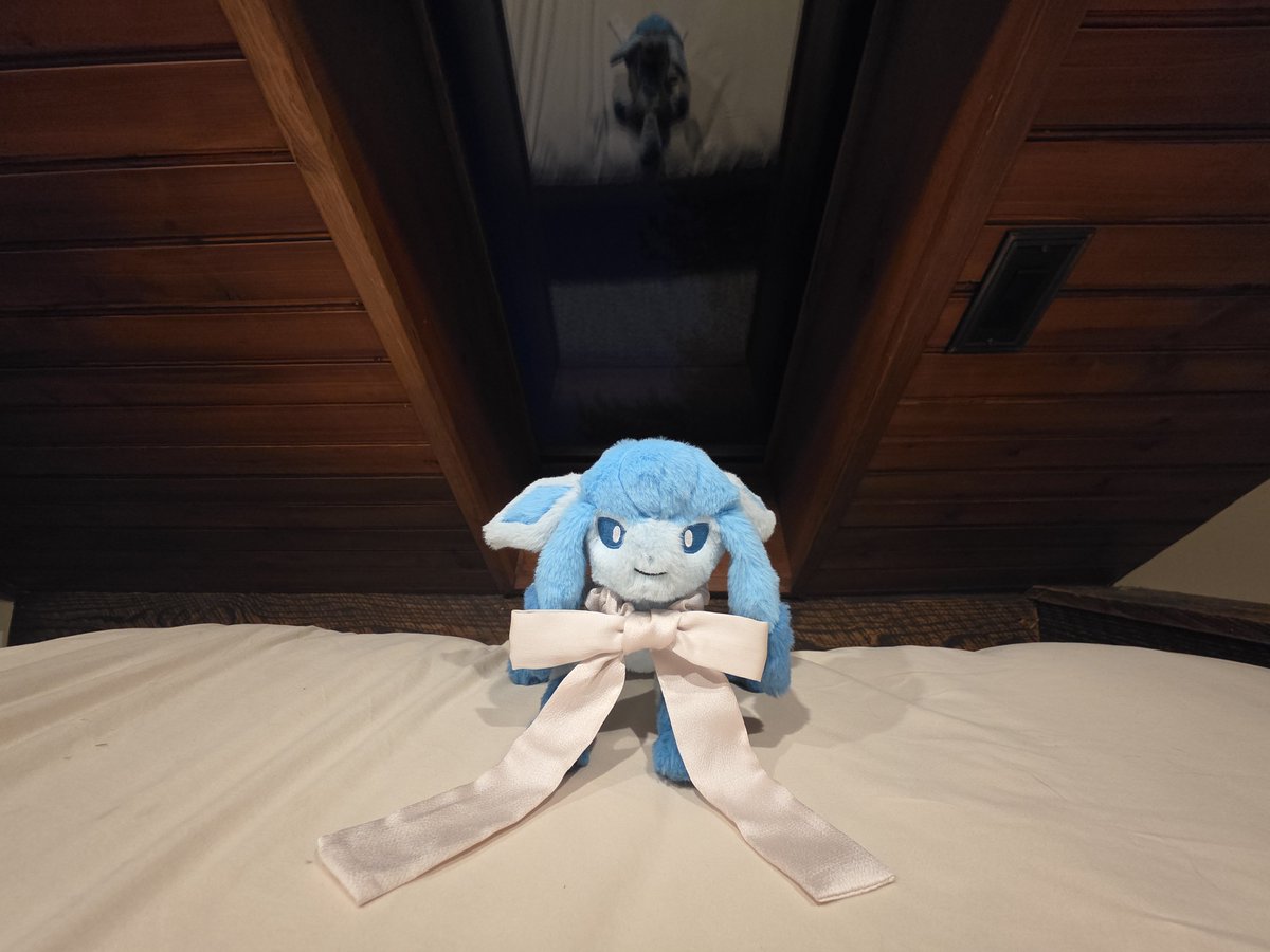 BrandoGlaceon's tweet photo. Good evening.
I can't sleep in my room tonight, it is too hot, and I can't open my window due to the smoke. 🙃

Sleeping in the small house.
I've never spent the night over here before!

Good night from me, I'll be back tomorrow.
❄️🎀💤 https://t.co/828JMtTBkd
