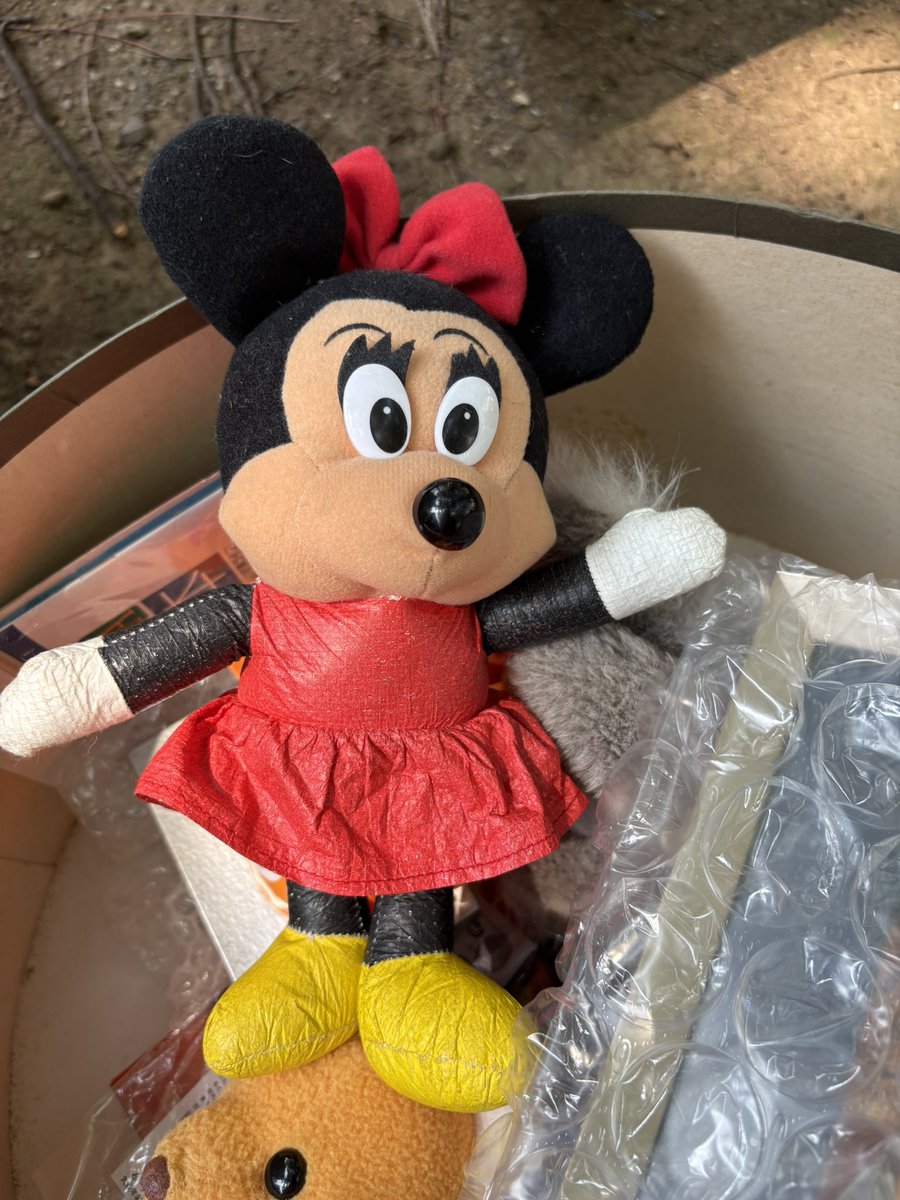 fuchuzeroenshop's tweet photo. たまらない感じのミニー出てます。
（ま） https://t.co/maMWZ5rx9Y