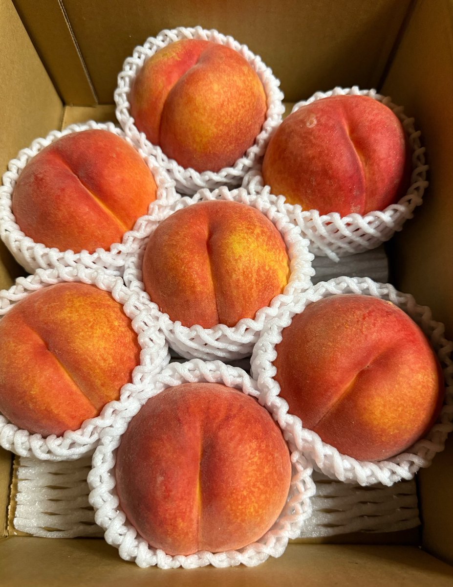 bam20181219's tweet photo. 🍑
ワッサーという品種らしいです✨ https://t.co/p8e7gFSKWX